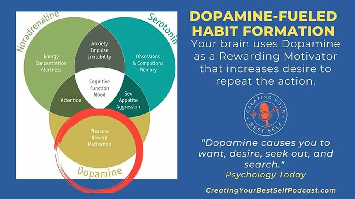 wetenschappersv-extra-2.webp Wetenschappers vonden de KCC2-eiwitschakelaar die bepaalt hoe snel u een gewoonte aanleert: goed of slecht - image 2