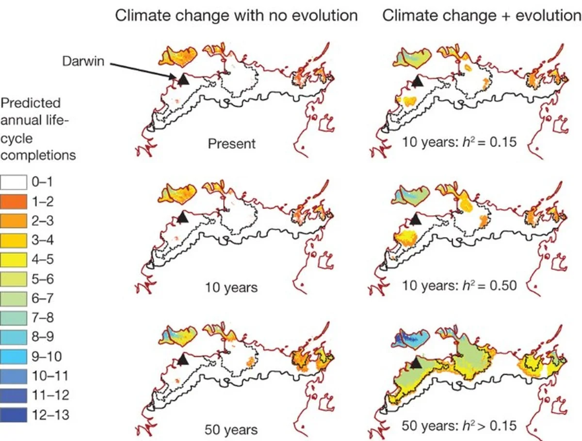 De evolutie keer op keer nagespeeld: de verrassing die alles verandert - image 1