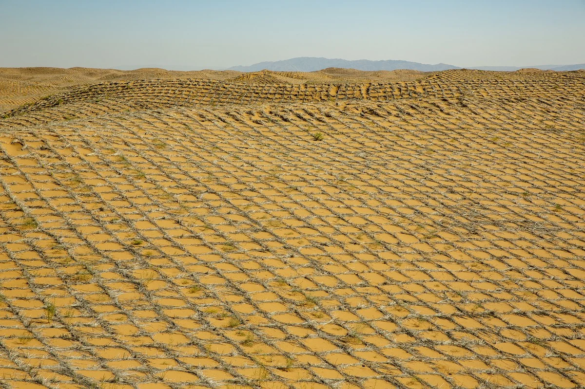 waaromslimmeing-extra-1.webp Waarom slimme ingenieurs 337.000 km² woestijn stabiliseerden met slechts stro en zonlicht - image 1