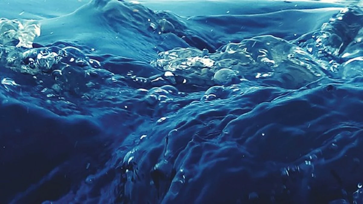 waaromexpertsee-extra-2.webp Waarom experts een enorme mosselplaag in de Oslofjord zien als een natuurlijke schoonmaakploeg - image 2