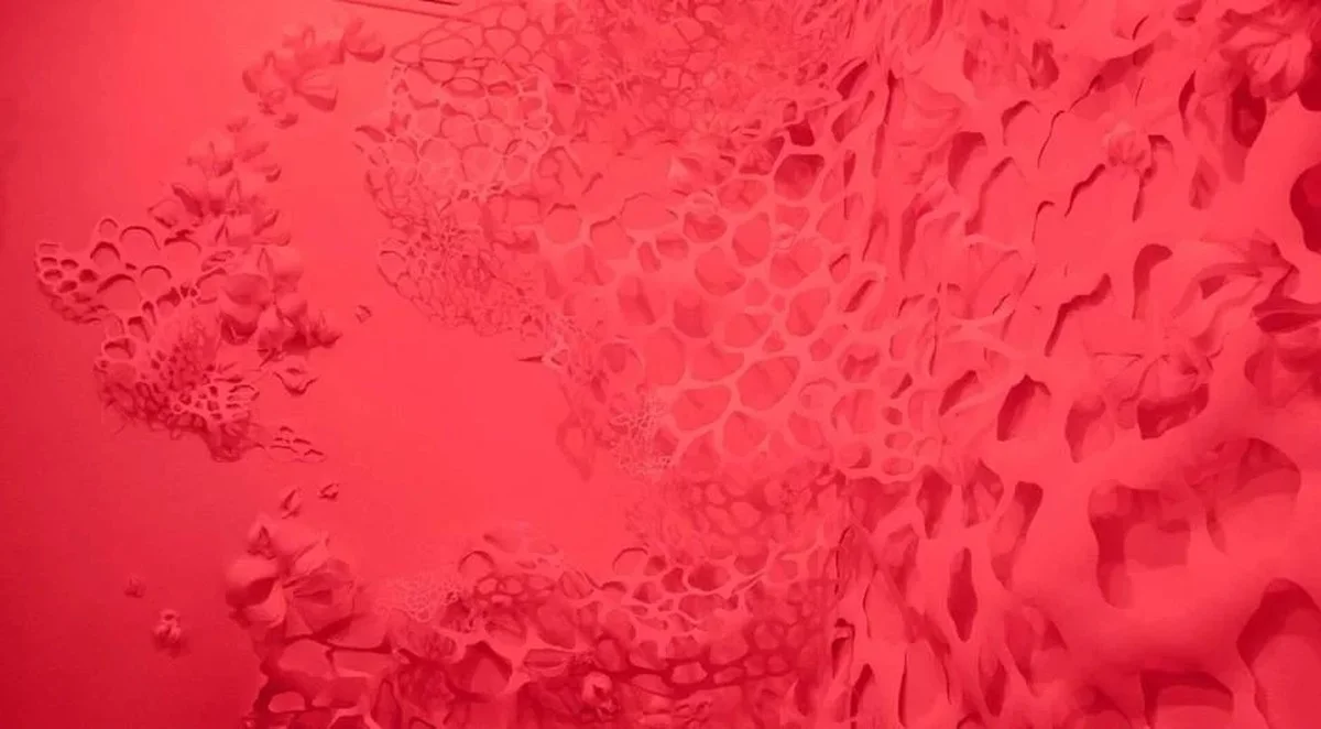 waaromwijallema-extra-2.webp Waarom wij allemaal letterlijk afstammen van een bacterie die