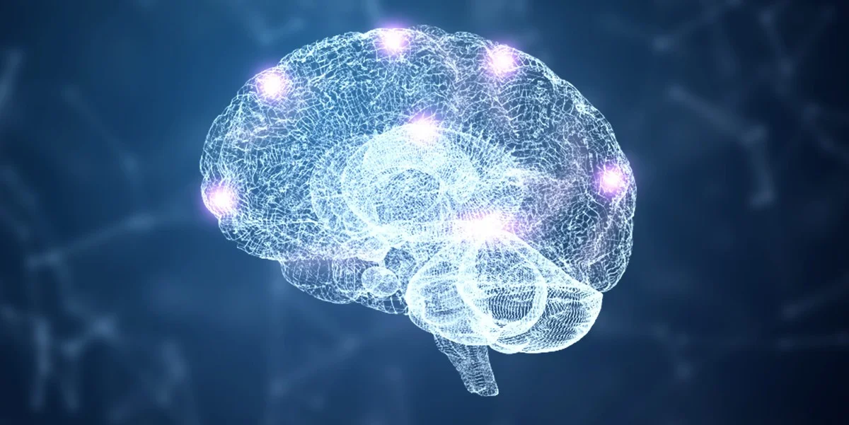 Wetenschappers bootsten oogmuzincortex na: de mogelijkheden zijn eindeloos