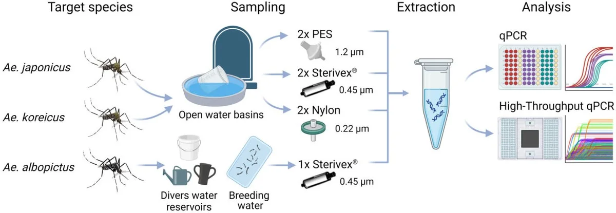 waarommuggendev-extra-1.webp Waarom muggen de verborgen bibliotheken van dna zijn (net als in Jurassic Park) - image 1