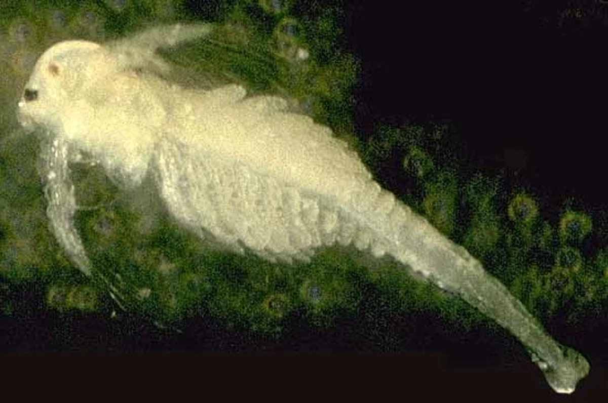 hetonbekendewoa-extra-1.webp Het onbekende