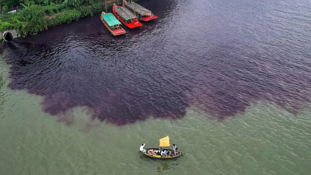 Waarom experts een spons onderin je plantenpot stoppen - image 1