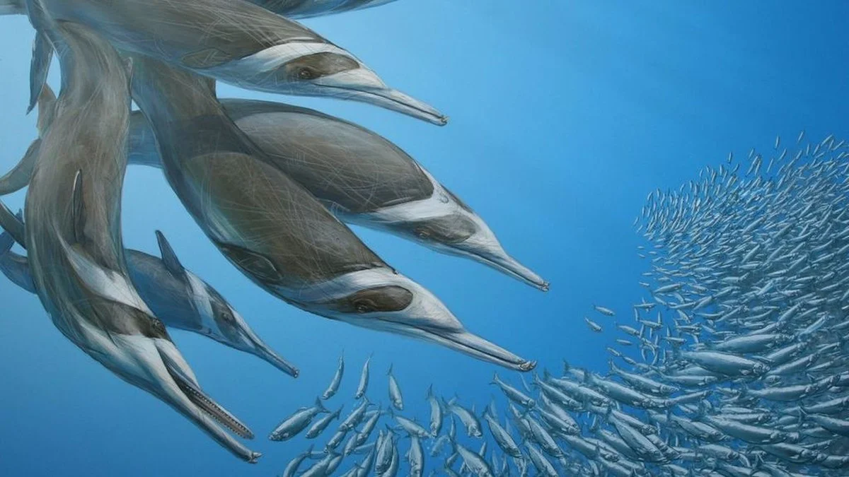 Het mysterie van de Westerschelde: expert legt uit waarom deze 'nieuwe' dolfijn 8 miljoen jaar oud is