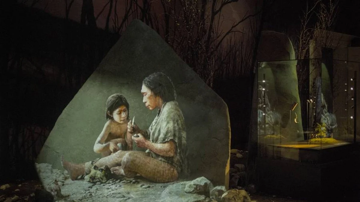 Nieuwe vondst: Neanderthalers hadden een geheim wapen tegen koude jassen van 100.000 jaar oud