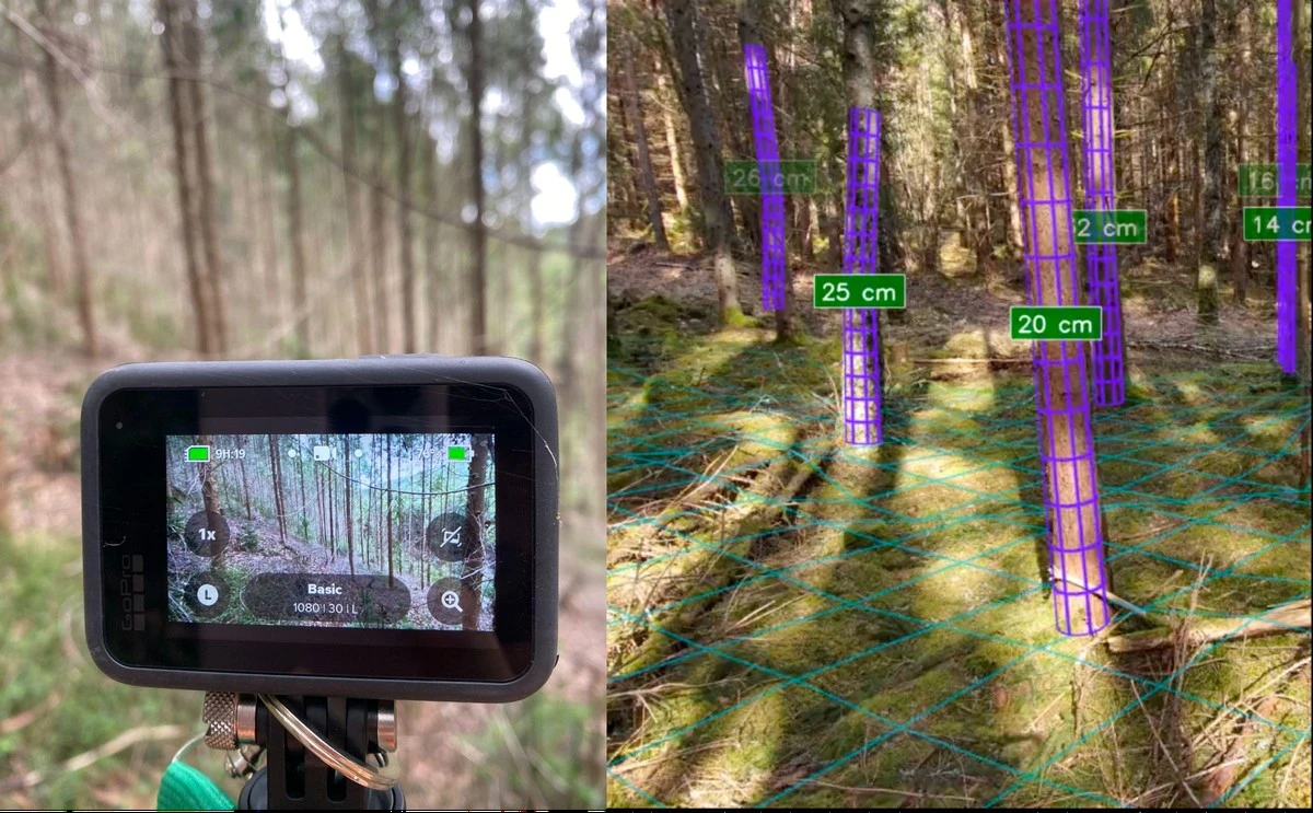 De Sopron Bosbouwconferentie: Waarom 131 presentaties het systeem doen kraken - image 1