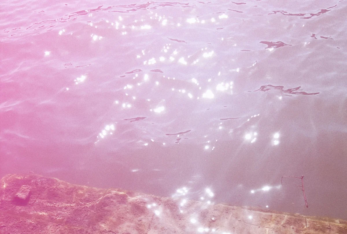 Waarom dit roze slijm op een afgelegen Tasmaans strand experts alarmeert - image 1