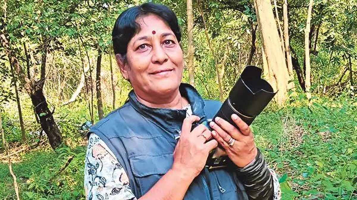 Waarom deze wetenschapper 35 jaar lang elk klein insect dat ze ziet, fotografeert