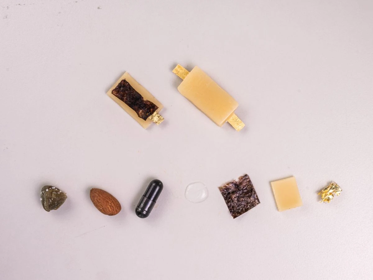 Waarom een bergamasco ingenieur een eetbare oplaadbare batterij ontwierp - image 2