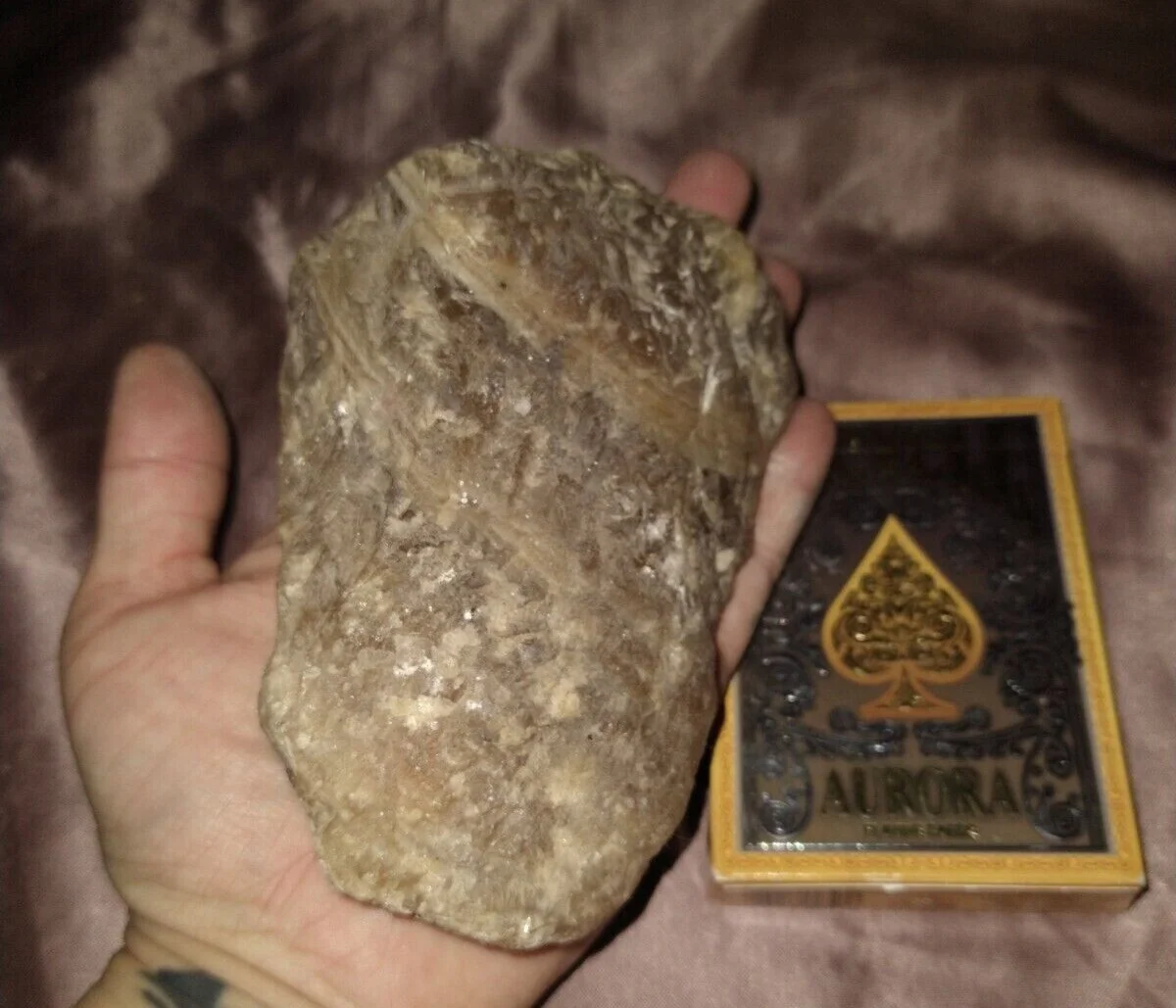 degeheimeboomdi-extra-1.webp De geheime boom die de gouden hars van Mexico