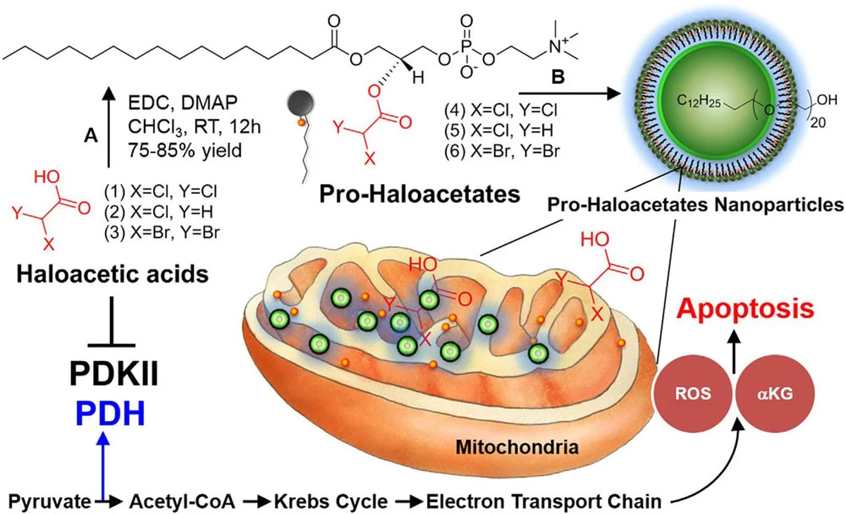 Wetenschappers gebruiken de interne stress van kankercellen om ze te laten 